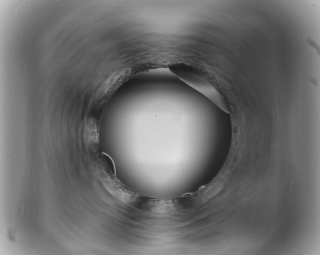 X0000101170384200807071227