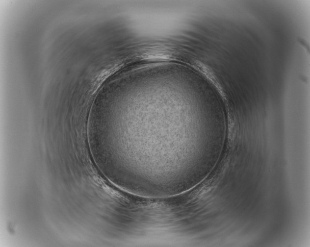 X0000101170385200807071226