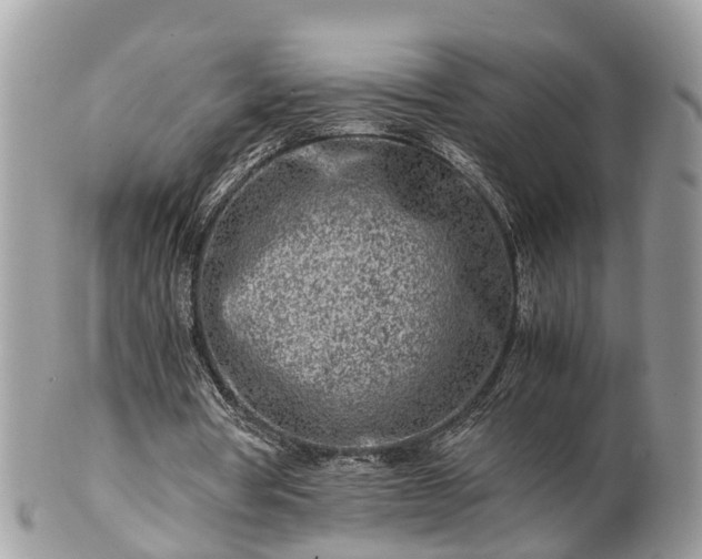 X0000101170386200807071226