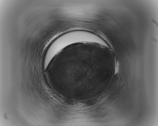 X0000101170387200807071226