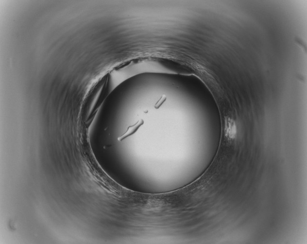 X0000101170388200807071226