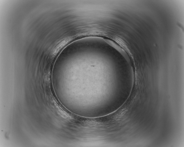 X0000101170389200807071226