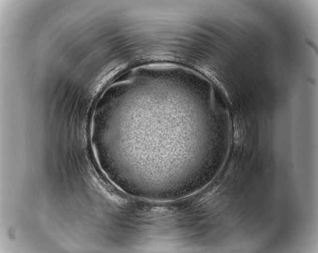 X0000101170390200807071226
