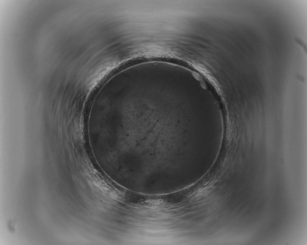 X0000101170391200807071226
