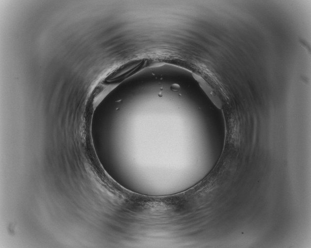 X0000101170392200807071226