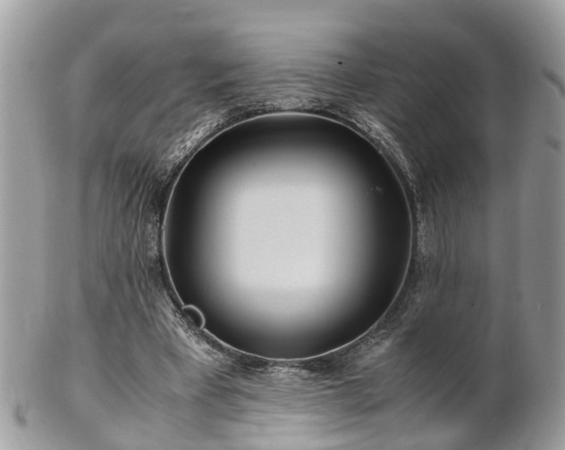 X0000101170393200807071226