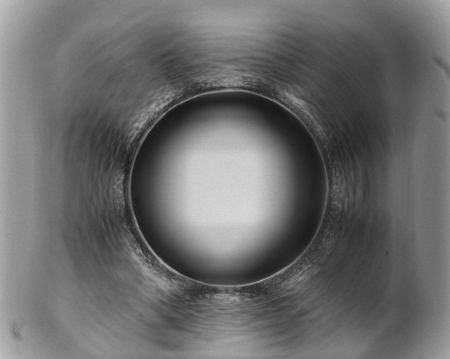 X0000101170394200807071226