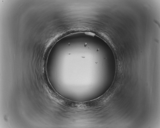 X0000101170395200807071226