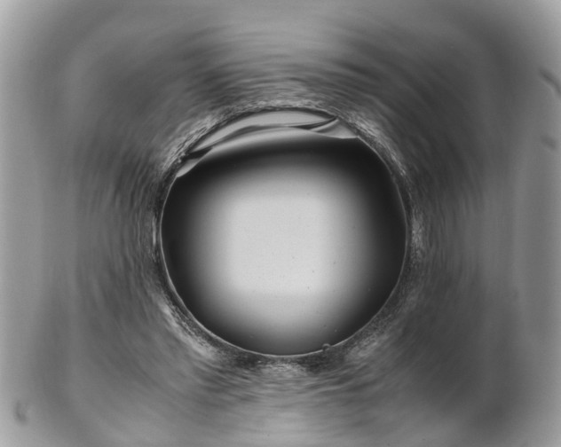 X0000101170397200807071226