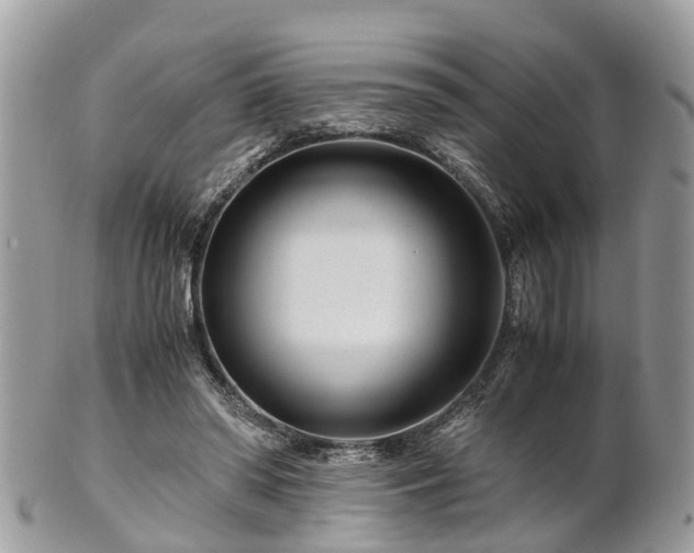 X0000101170398200807071226