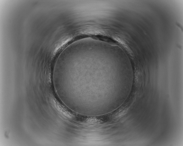 X0000101170399200807071226