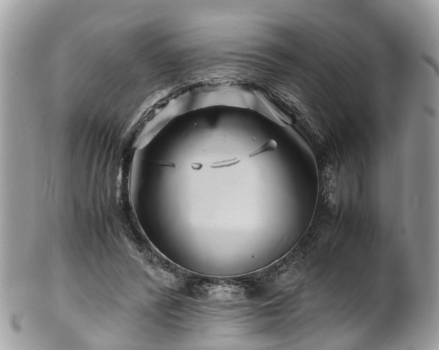 X0000101170400200807071226