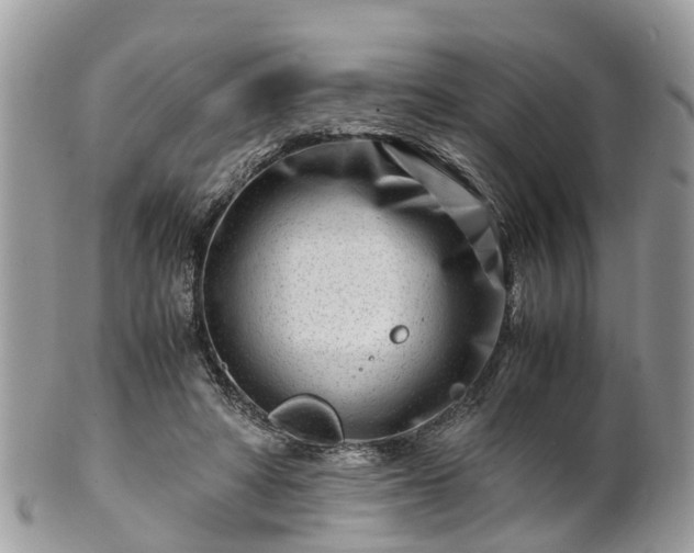 X0000101170402200807071226