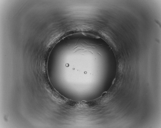 X0000101170403200807071226