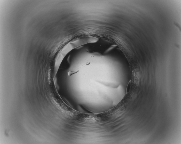 X0000101170404200807071226