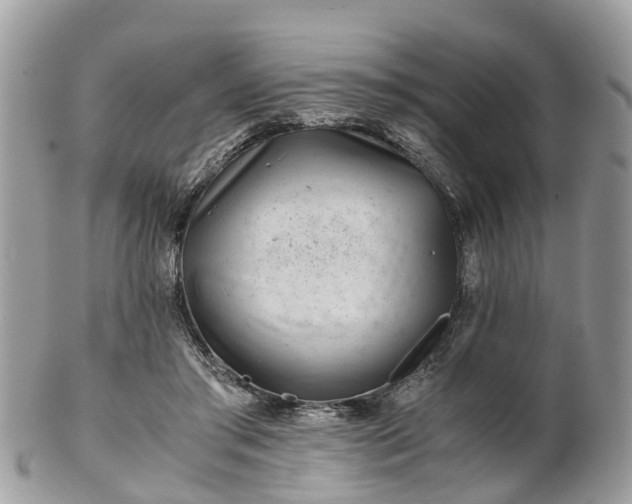 X0000101170405200807071226