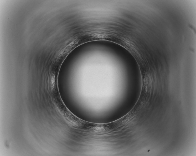 X0000101170406200807071226