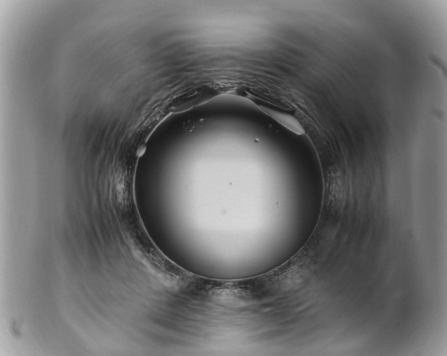 X0000101170408200807071226