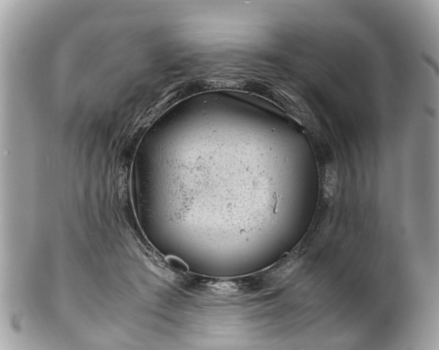 X0000101170409200807071226