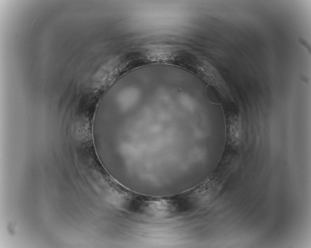 X0000101170411200807071226
