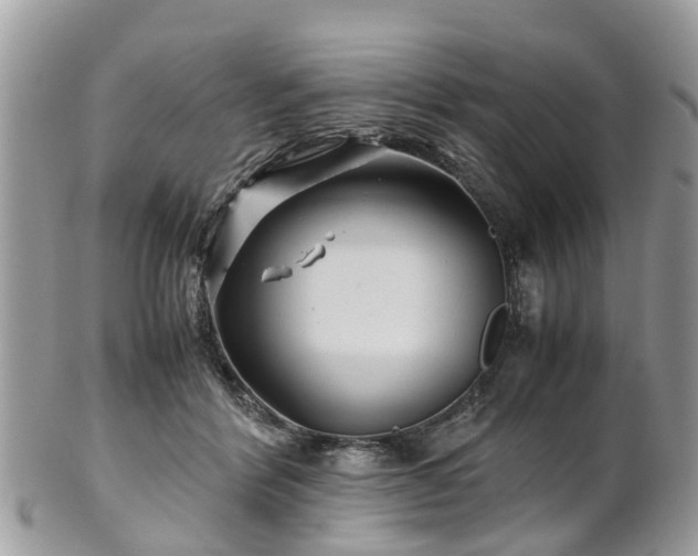 X0000101170412200807071226
