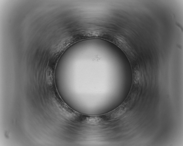 X0000101170414200807071226