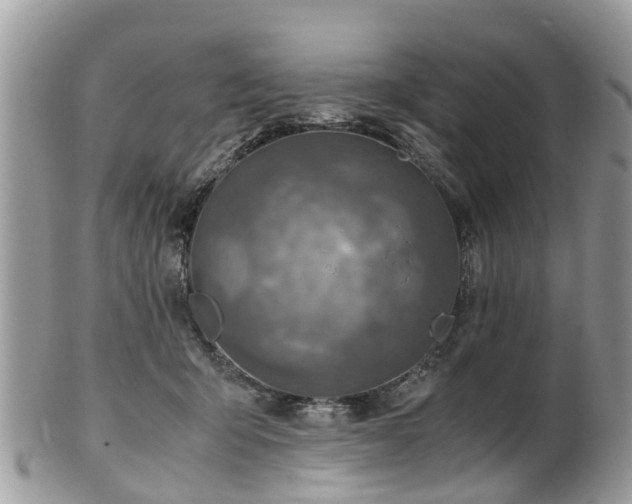 X0000101170415200807071226