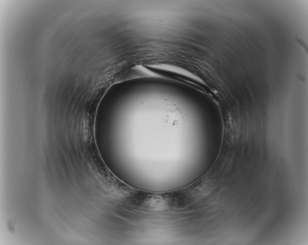 X0000101170416200807071226
