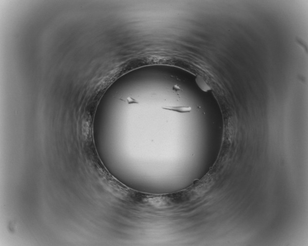 X0000101170417200807071226