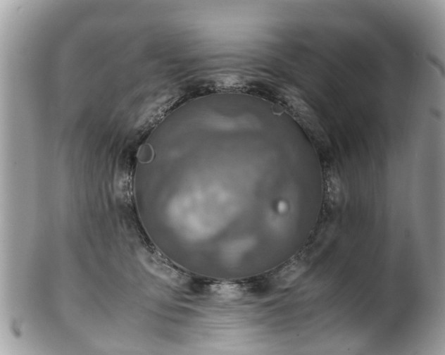 X0000101170419200807071226