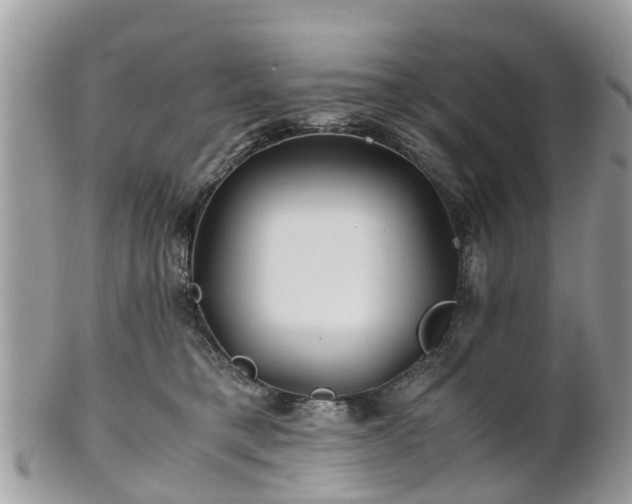 X0000101170421200807071226