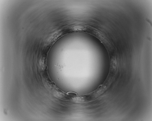 X0000101170422200807071226