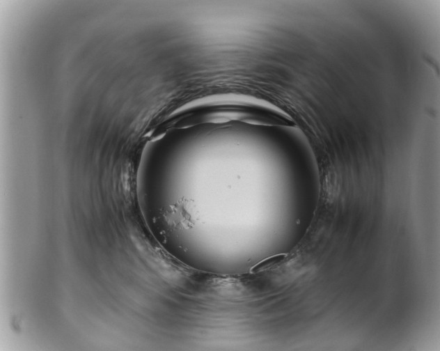 X0000101170424200807071226