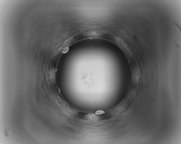 X0000101170425200807071226