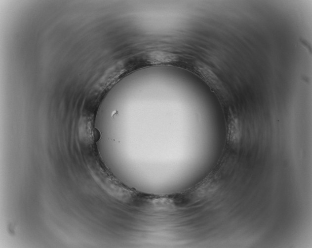 X0000101170426200807071226