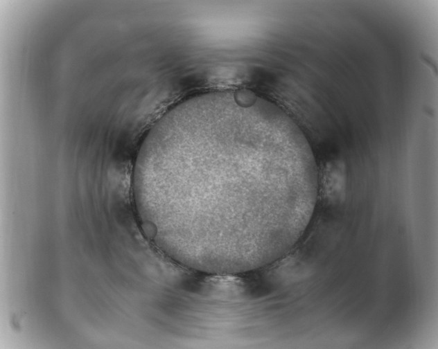 X0000101170427200807071226