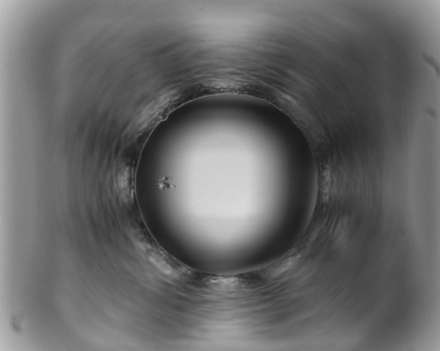 X0000101170428200807071226