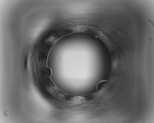 X0000101170429200807071226