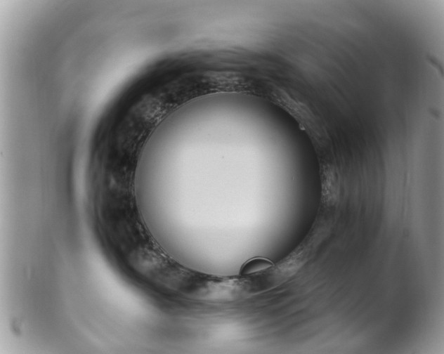 X0000101170430200807071226