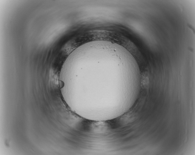 X0000101170431200807071226
