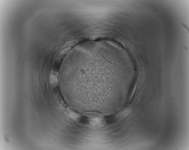 X0000101170432200807071226