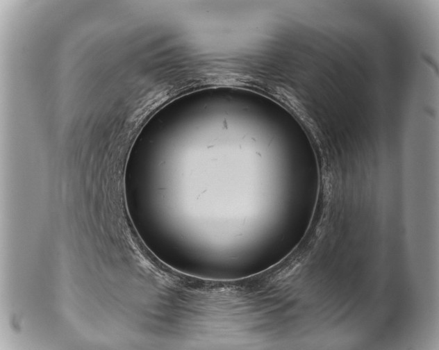 X0000101170433200807071225