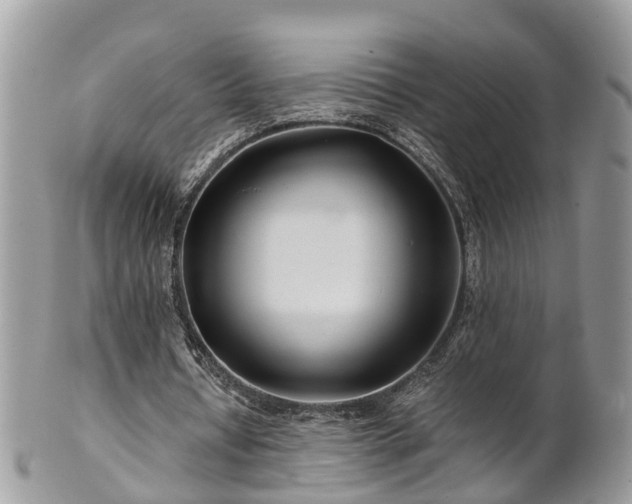 X0000101170434200807071225