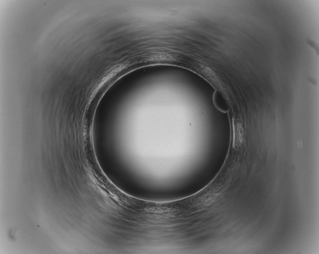 X0000101170435200807071225