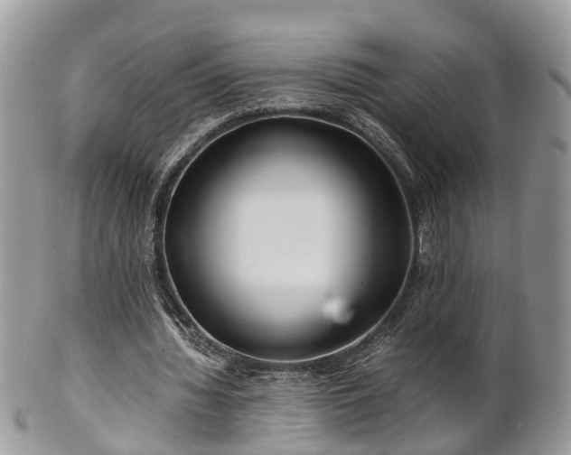 X0000101170436200807071225
