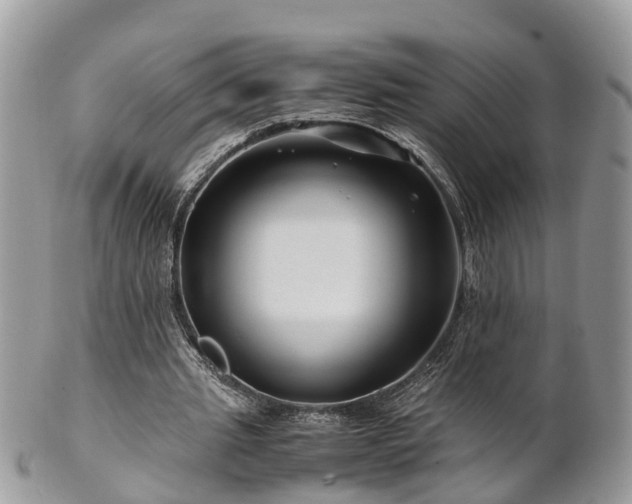 X0000101170437200807071225