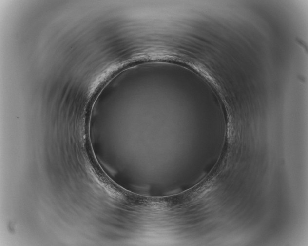 X0000101170438200807071225