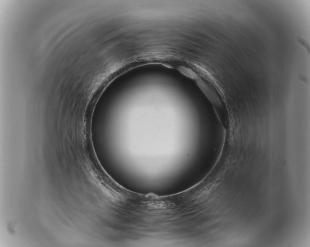 X0000101170439200807071225