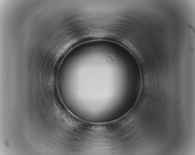 X0000101170440200807071225