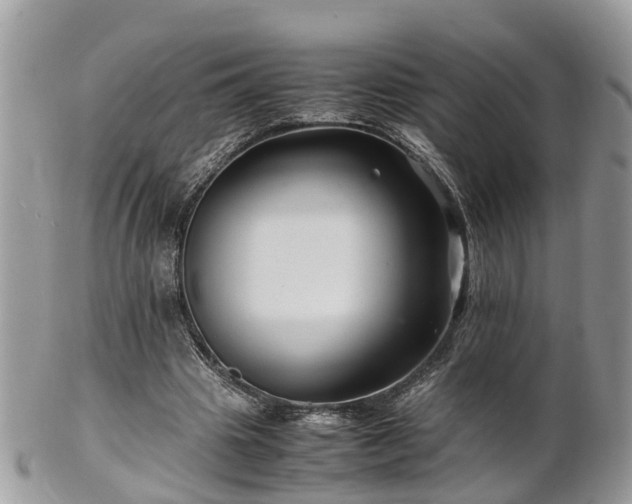 X0000101170441200807071225